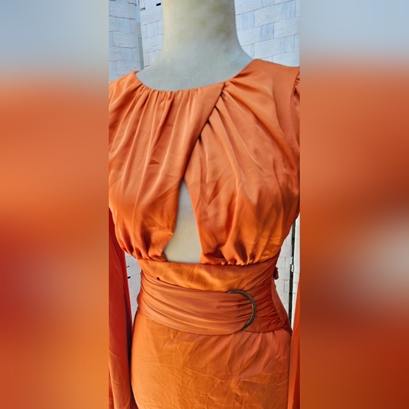 PETAL AND PUP MIDI DRESS - Picture 6 of 12